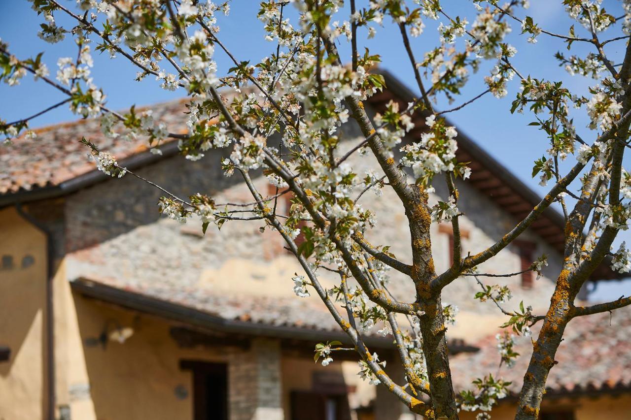 Appartamento La Rosa Città di Castello Esterno foto